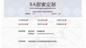 網站資質軟件:助力企業高效獲取資質,開啟互聯網合規新征程