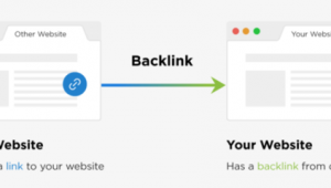 站群網站是什么（站群seo）