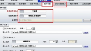 站群鏈輪怎么做