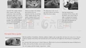 軟件小貓咪（下載小貓軟件）