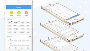記賬網(wǎng)站源碼(自制記賬軟件)