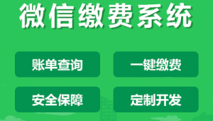 龍巖網站建設軟件公司(龍巖建筑網)