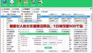 365站群系統有風險嗎_365站群收錄好麻