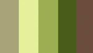 哈薩克網(wǎng)站圖片大全（哈薩克軟件baige下載）