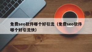 seo引流營銷推廣(seo引流怎么做)