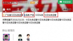 巔峰qq群排名優化軟件有哪些（qq群排名優化符號）