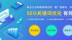 嘉興seo網絡優化公司_嘉興網站優化方案