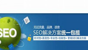 山東seo公司是什么公司_seoyon公司