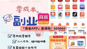 seo賺錢軟件是真的嗎（seo賺錢方法大揭秘）