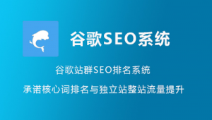 谷歌站群（google推廣平臺(tái)怎么做）