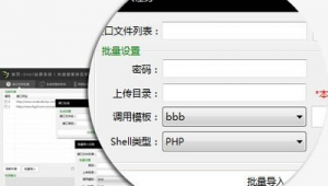 寄生蟲(chóng)saas（寄生蟲(chóng)團(tuán)隊(duì)）