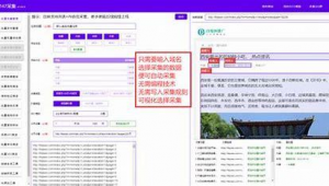 鑫光芒代理（鑫光芒為什么這么火）