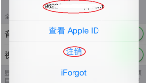 蘋果4s免費軟件網站有哪些(蘋果4s站免費下載app)
