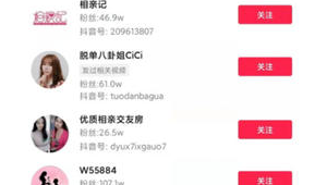 相親網站賺錢軟件下載（相親網站如何賺錢）