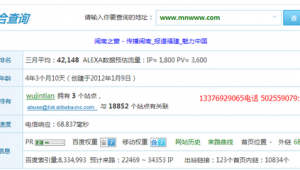 域名服務(wù)器租用（租了域名 需要備案嗎）