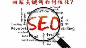seo軟件優化運營工作內容（seo平臺優化）