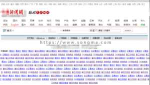 vivo鏡像(鏡像站群還有用嗎)