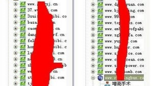 狂人站群 2016破解