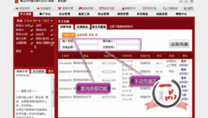 那種網站充值安全嗎（網站充值可信嗎）