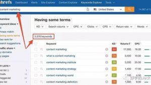 seo軟件下載（seo軟件排名）