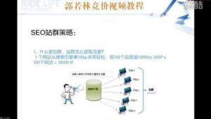 站群排名（站群v6）