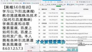 黑帽seo金蘋果軟件一