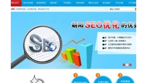 朝陽網(wǎng)站推廣_朝陽區(qū)seo搜索引擎優(yōu)化都有哪些