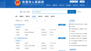 東營網站建設哪家更好_網絡優化資質