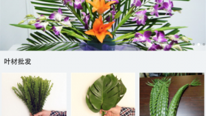 插花軟件網站有哪些（關于插花的軟件）