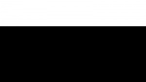 站群怎么玩_站群怎么搭建sk5