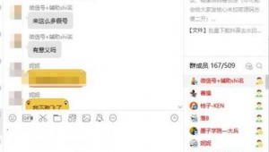 站群服務器（站群程序）