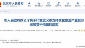 站群現在還有效果嗎(站群效果怎么樣)