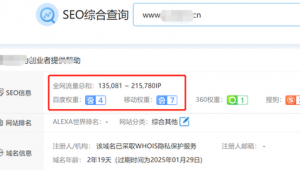 做站群優化賺錢嗎是真的嗎（站群優化原理）