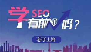 河南整站關鍵詞排名優化軟件（河南seo推薦）