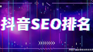 抖音seo軟件工具(抖音seo排名公司)