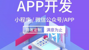 南京定制網站軟件有哪些(南京定制網站建設)