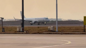 神鷹在哪(神鷹lims)