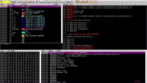 軟件脫殼定制網站有哪些（軟件脫殼定制網站是什么）