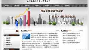 西安網(wǎng)站優(yōu)化常識(shí)_西安優(yōu)化網(wǎng)站關(guān)鍵詞