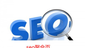 seo問答聚合軟件怎么樣(seo問答推廣機構)