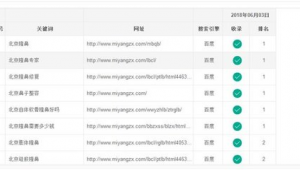 常州seo建站_常州seo全網(wǎng)營銷