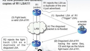 <strong>黑帽</strong>論壇seo的詳細情況（<strong>黑帽</strong>技術）