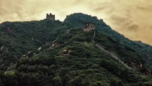 山東烽火臺站群號是多少（山東烽火科技有限公司）