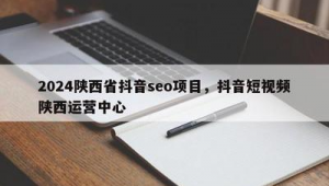 抖音seo公司（抖音seo是什么意思）