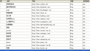 seo站群干什么的（seo站點）