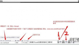 網站軟件推薦(dzvii網站)
