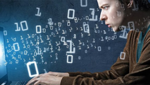 大蜘蛛軟件（蜘蛛平臺）