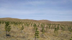 內(nèi)蒙古加油站資源群微信（內(nèi)蒙民營(yíng)加油站）