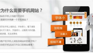 付費的網站(付費網站是真的嗎)