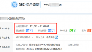 站群怎么盈利(站群有什么好處)